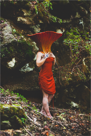 Main image Chanterelle Lady