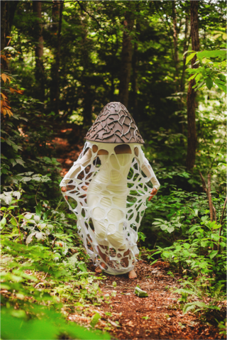 Main image Veiled Stinkhorn