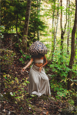 Main image Morel