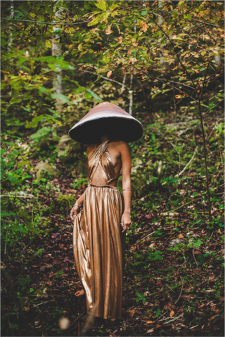 Main image Magic Mushroom