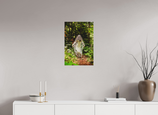 16 x 24″, Silk Veiled Stinkhorn