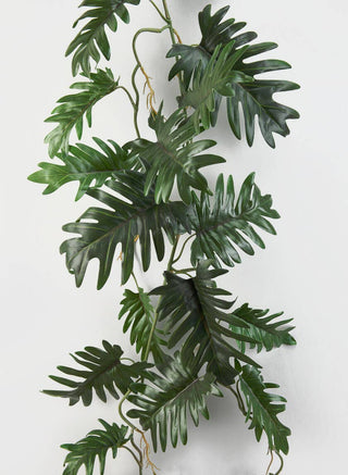 Jamali Garden - 41in Long Philodendron Vine (Close-out Sale)