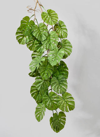 Jamali Garden - 38in Split Leaf Philodendron Garland