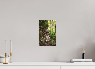 8 x 12″, Silk Morel