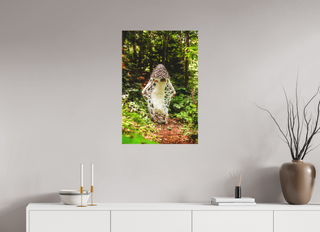 20 x 30″, Canvas Veiled Stinkhorn