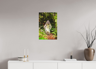 16 x 24″, Canvas Veiled Stinkhorn