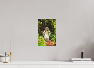 8 x 12″, Canvas Veiled Stinkhorn
