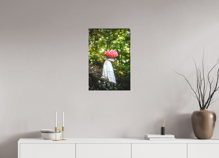 16 x 24″, Canvas Amanita muscaria